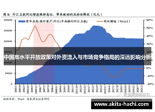 中国高水平开放政策对外资流入与市场竞争格局的深远影响分析